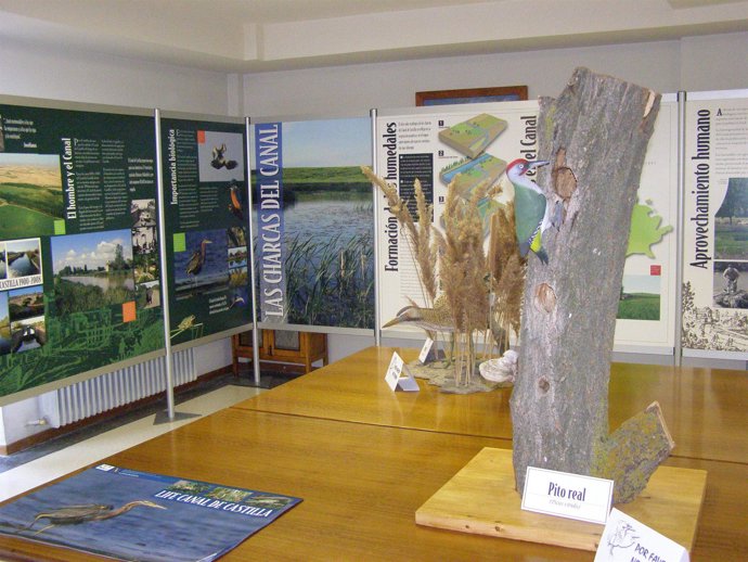 La Exposición 'Life Naturaleza: Lagunas Del Canal De Castilla' 