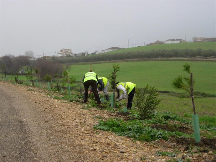 Imagen De Los Trabajos Realizados En Las Vías Verdes De La Provincia