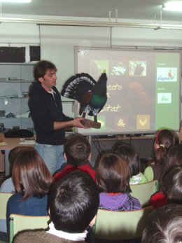 Clase Sobre Urogallo