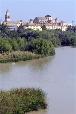 Imagen De La Mezquitq De Córdoba