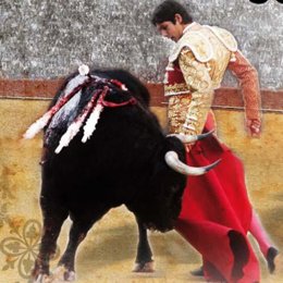 Toros