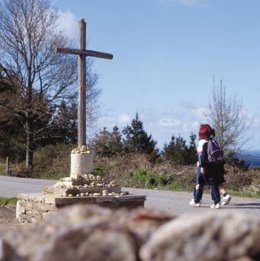 Camino De Santiago