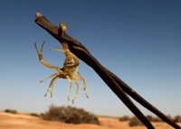 Los efectos del cambio climático en la Península Ibérica