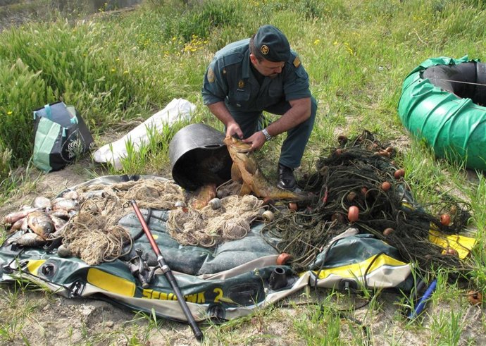 Artes De Pesca Y Carpas Intervenidas Por El Seprona Tras Su Captura En El Embals