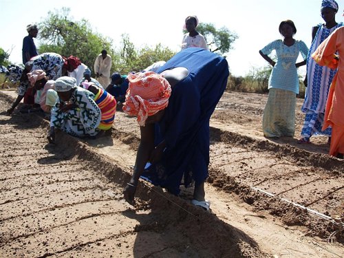 El Gobierno Canario Destina 2,1 Millones A Proyectos De Cooperación Internaciona