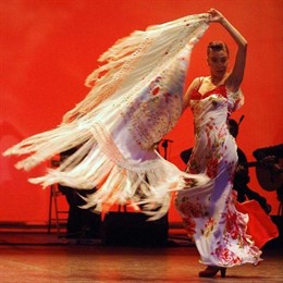 Espectáculo Flamenco