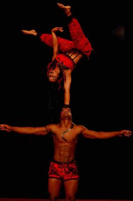 Artistas De Circolombia