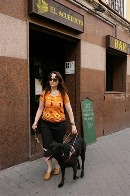 Una Invidente Pasea Con Su Perro Guía.