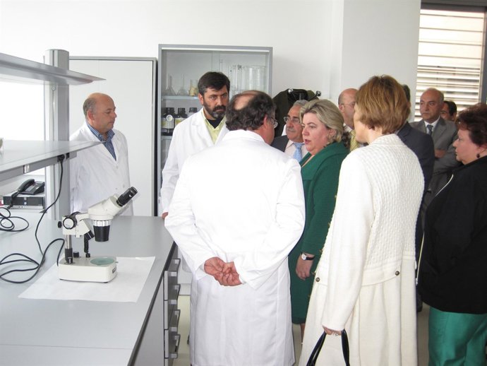 La Consejera Aguilera, Hoy En Geolit