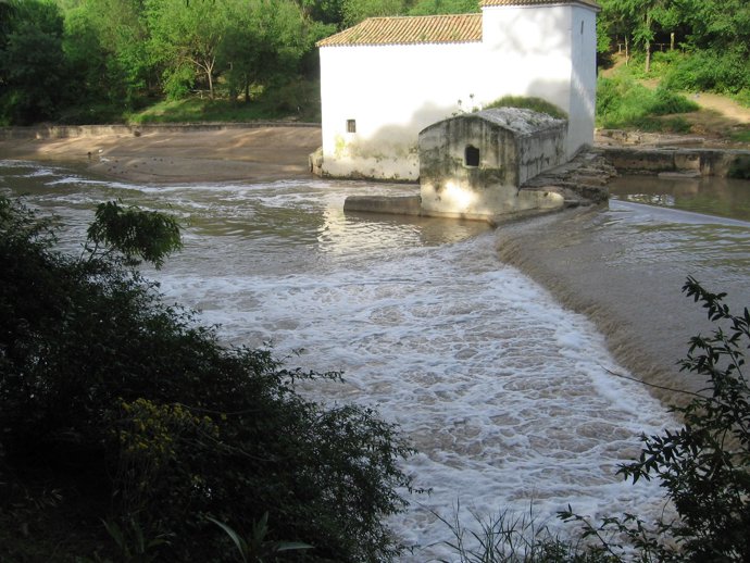 El Agua Corre Turbia En El Río Guadaíra