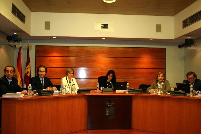 La Consejera Durante Su Comparecencia En Las Cortes