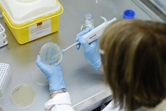 El Programa EIBT Presta Apoyo A Las Ideas Para Crear Empresas Tecnológicas. 