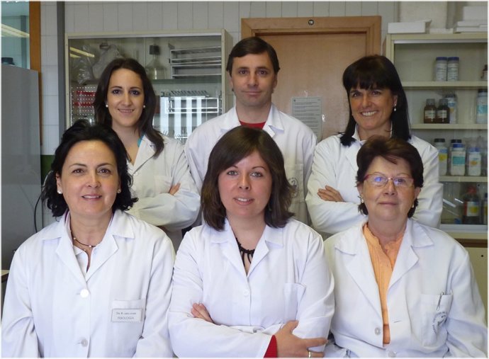 Grupo De Investigación De La UGR