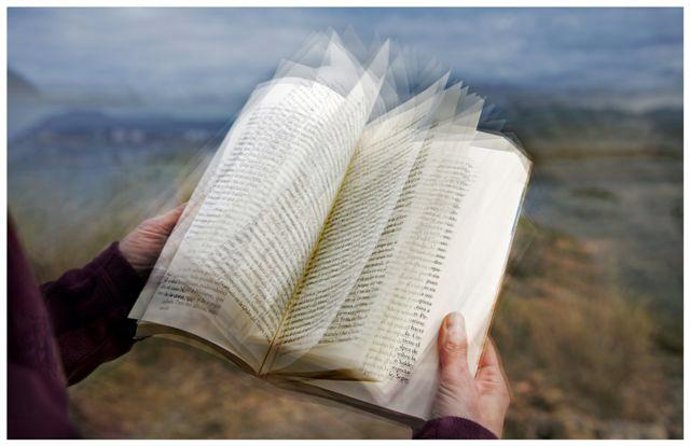 Día Del Libro