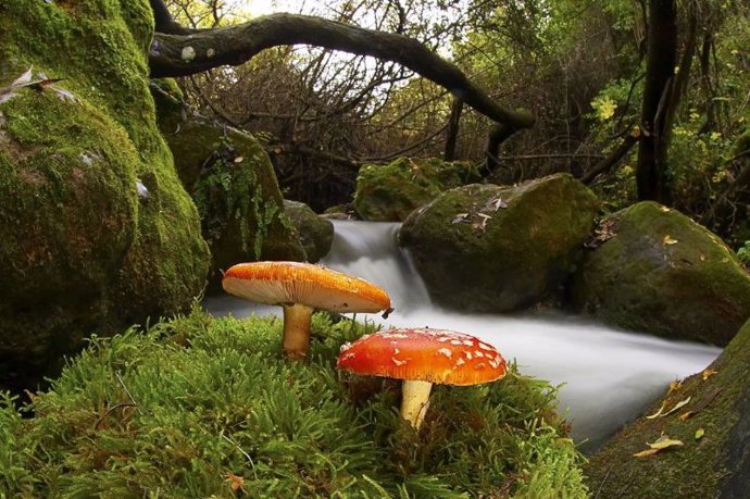 Fotografía 'Los paisajes y sus inquilinos' de Juan Tébar en la muestra 'Biodiver