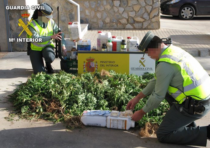 La Guardia Civil Desmantela Un Punto De Producción Y Distribución De Marihuana 