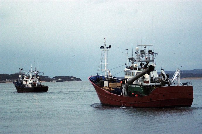Barcos Pescando Anchoa