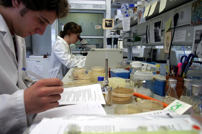 Investigadores De La Universidad Pablo De Olavide