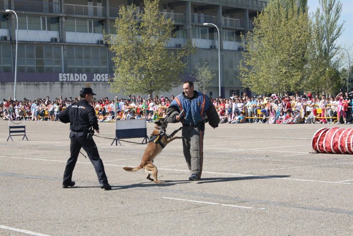 Demostración De La Policía Nacional Ante 1.700 Escolares De Valladolid.