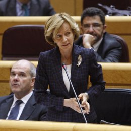 La ministra de Economía, Elena Salgado, en el Senado