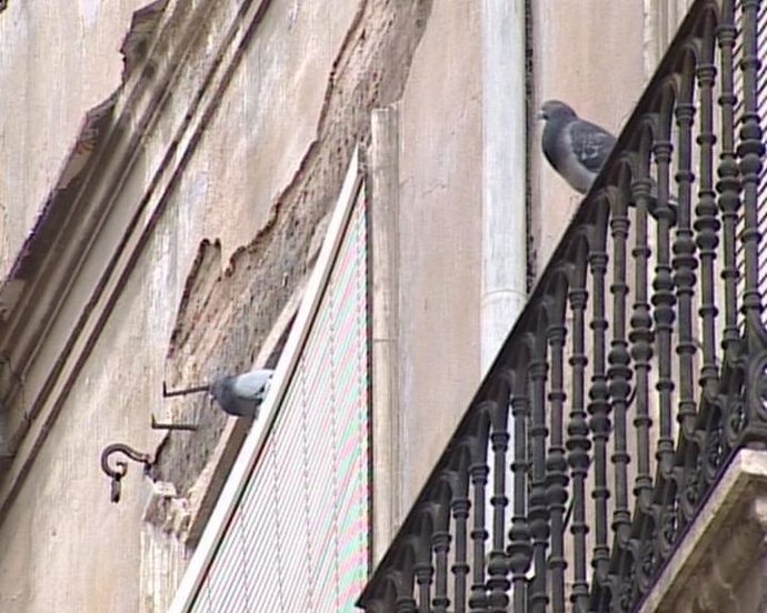 Dos hombre disparan a las palomas en Valencia