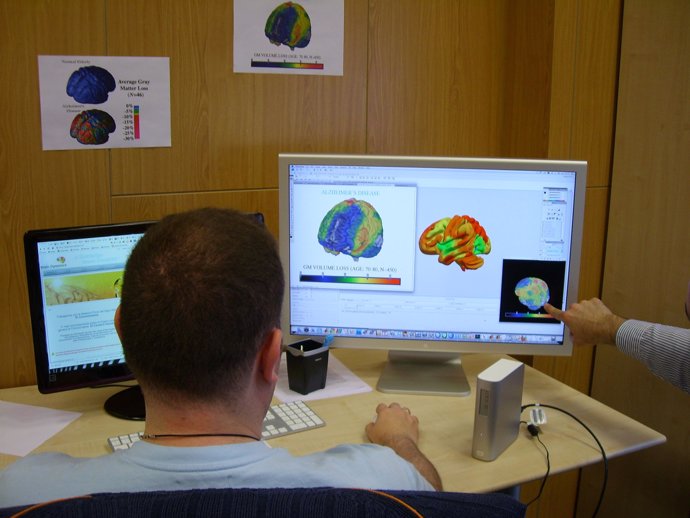 Un Investigador De Brain Dinamics Probando El Sistema