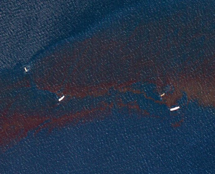 Vertido De Crudo En El Golfo De México