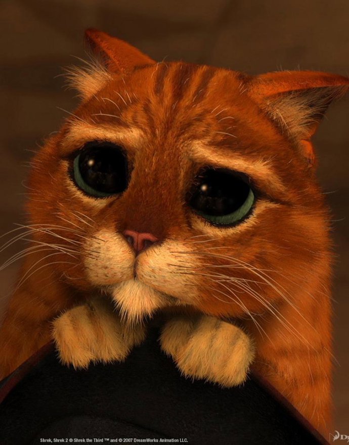 El Gato Con Botas De Shrek