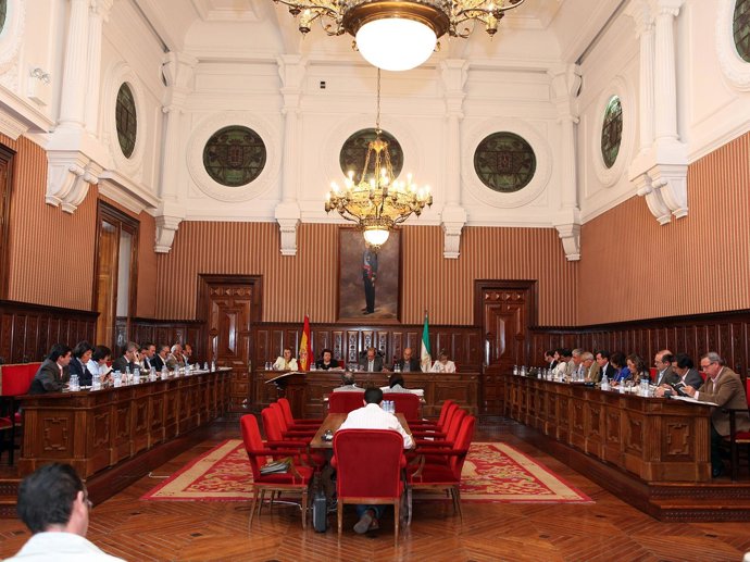 Pleno De La Diputación Provincial De Jaén