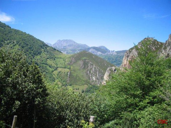 VALLES, BOSQUE, NATURALEZA, MONTAÑAS