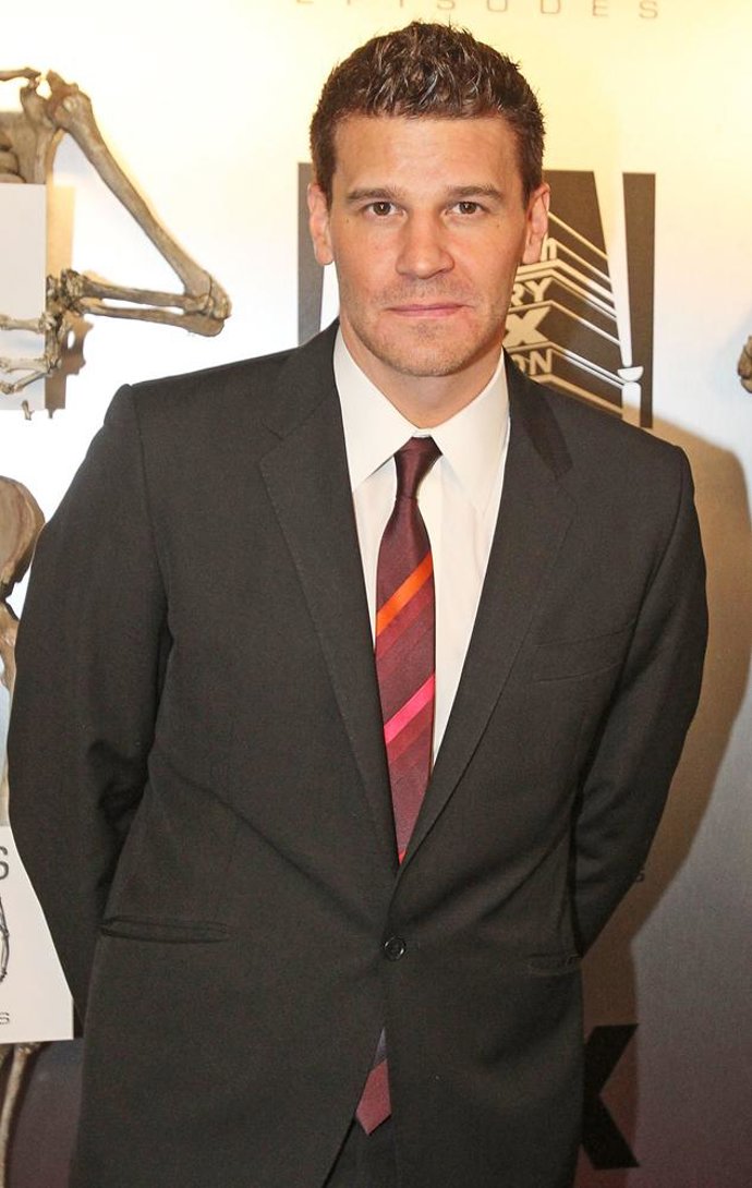 El Actor David Boreanaz