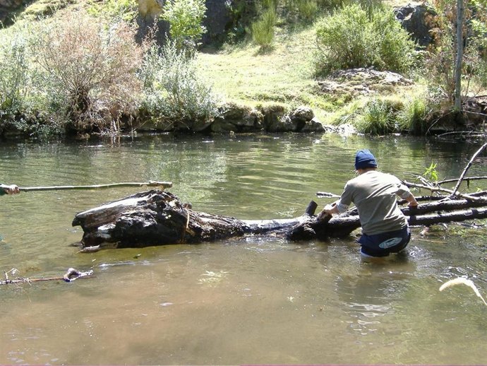 Trabajos De Limpieza En El Río