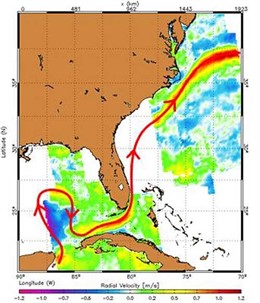 Vertido Golfo De México