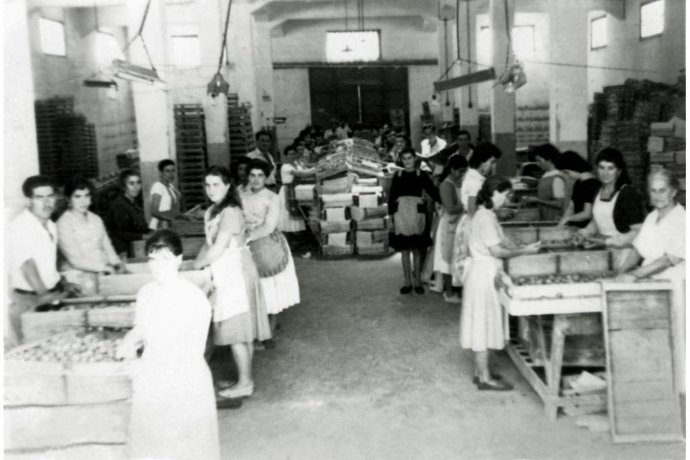 Foto Antigua De Una Fábrica En La Gomera