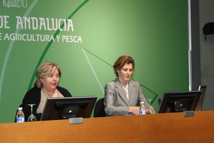 Presentación De Plataforma Telemática