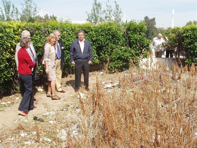 Estado De Las Zonas Ajardinadas Del Paseo De Juan Carlos I.