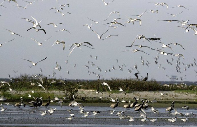 Mancha de crudo, petroleo se acerca a la costa