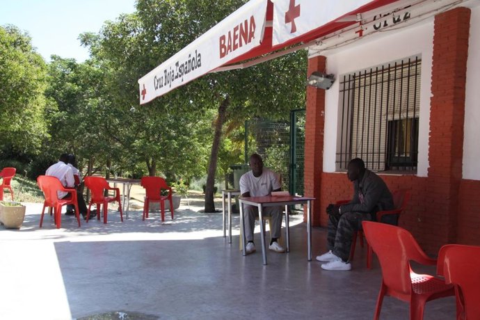 Inmigrantes En El Albergue Baenense