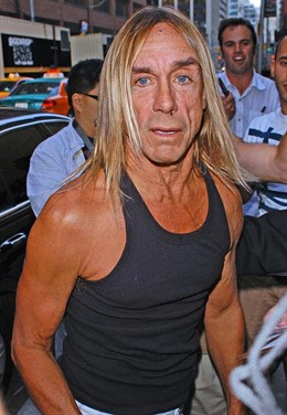 El Cantante Iggy Pop