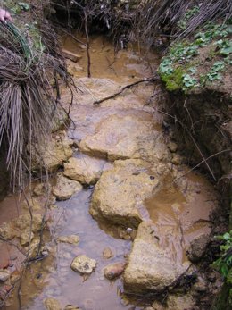 Imagen De Las Primeras Ruinas Descubiertas Por Las Escorrentías.