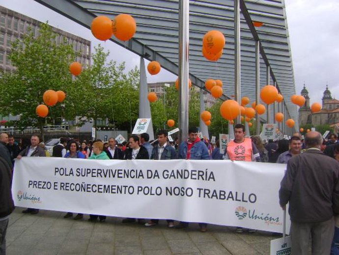 Más De 3.000 Productores De Carne Vacuna Protestan En Santiago