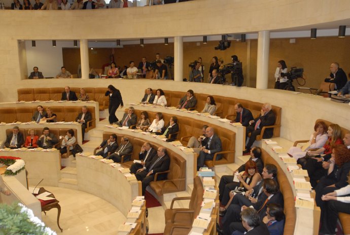 Pleno Del Parlamento