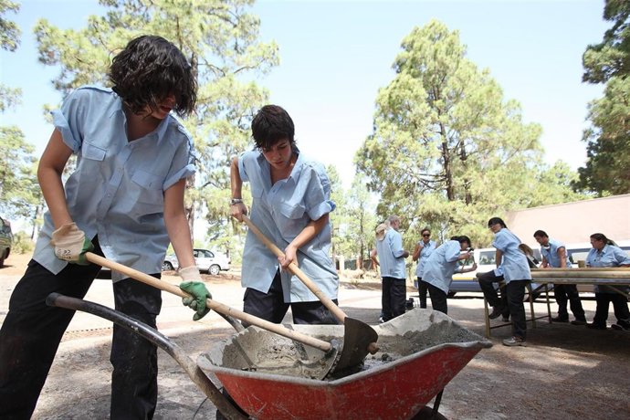 El Cabildo De Gran Canaria Organiza Un Campo Internacional De Trabajo En La Alde