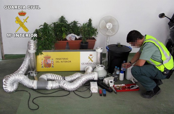 Efectos Intervenidos