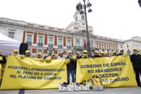 Los productores canarios repartirán 20.000 kilos de plátanos ante Industria para exigir compensaciones