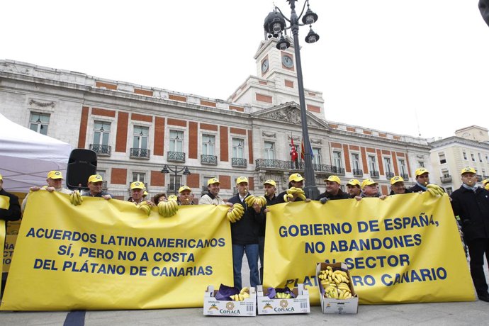Protesta De Plataneros Canarios En Madrid.