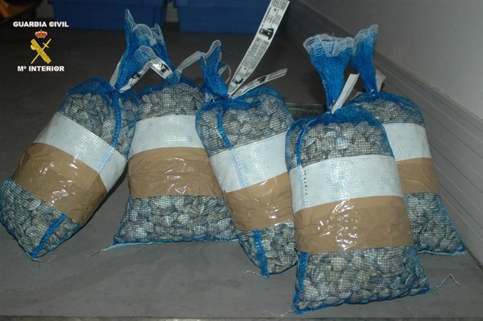 Sacos De Chirlas Incautadas