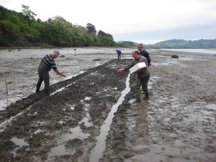 Un Momento De La Siembra.