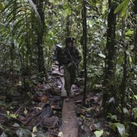 Un ataque de las FARC deja sin luz a miles de personas en el noroeste de Colombia