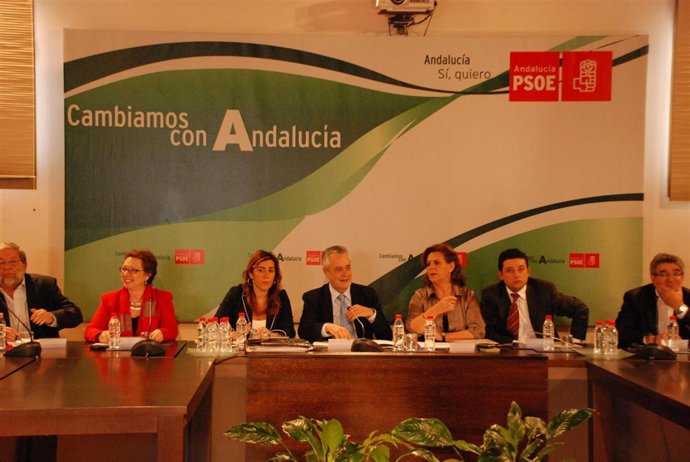 Constitución Del Consejo Territorial Del PSOE-A